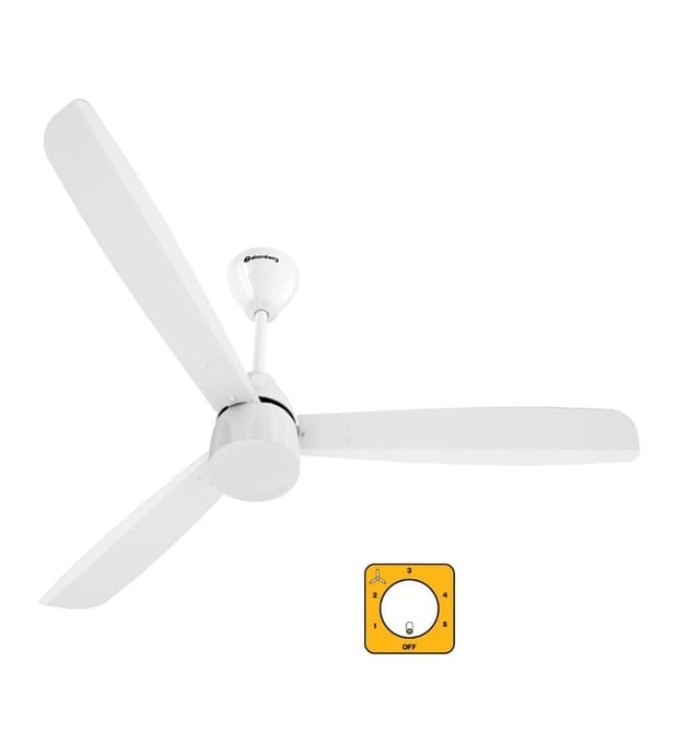 Ceiling fan