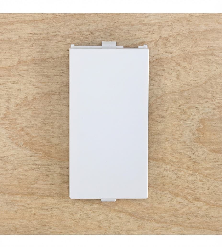 Blank Plate